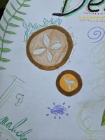 62f9d0e1-20260615-100137.jpeg
