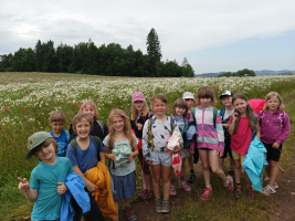 Všechno krásně kvete.