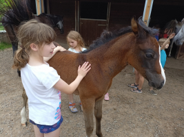 seznamování s hříbátkem