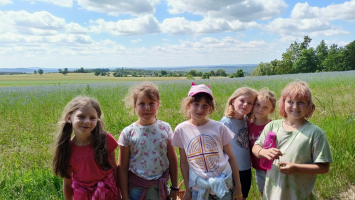 výhledy a květinky