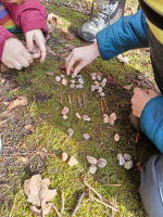 procvičování matematiky