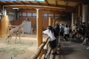 14dd841c-dsc-0207.jpeg