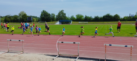 17cc3bc5-img-20250618-125052.jpeg