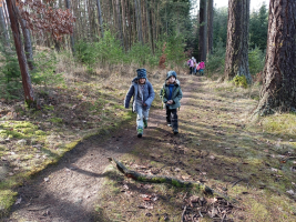 v lese bylo nádherně