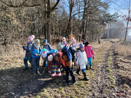 zkoumání zvířecích stop