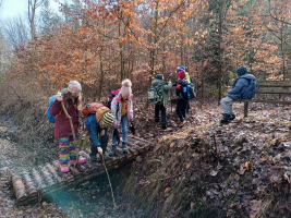 různá lesní zákoutí