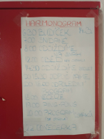 2dea2796-img-20240313-231135.jpeg