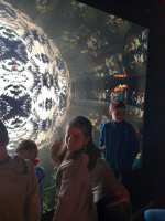 2f01edba-whatsapp-image-2025-02-12-at-12.23.02-3.jpeg