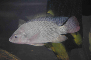 2fc070b3-dsc-0175.jpeg