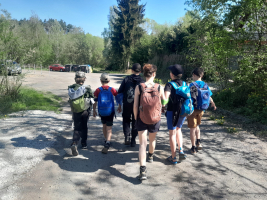3012dcfb-c22b0c26-fa2e-4483-8102-d7307dd7576d.jpeg