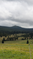 31d0350c-20250603-132147.jpeg