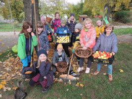 projekt Podzimní sklizeň