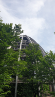 3c336e5d-20250604-141452.jpeg