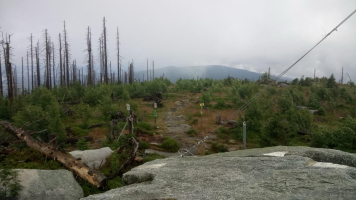 3f9d20e0-img-20260624-wa0055.jpeg