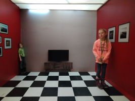4094067a-dsc-0235-2.jpeg
