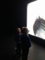 41635f0d-whatsapp-image-2025-02-12-at-12.22.59-1.jpeg