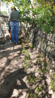 4811e9af-20260428-145613.jpeg