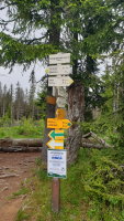 533e4423-20250605-112330.jpeg
