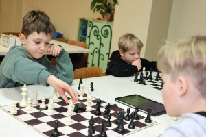 542f8683-sachy-1.stupen-2024-025.jpeg