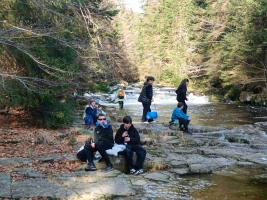 68719112-img-20240311-153344.jpeg