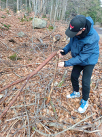 815d63fb-img-20240311-163234.jpeg