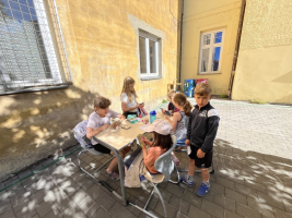 87dc3d45-img-2393.jpeg