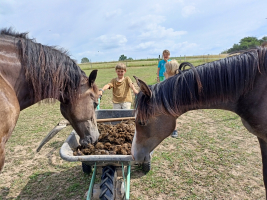 Manévrování s plným kolečkem je fuška, obzvláště, když tam překáží čtyřnozí zvědavci!