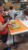 c37f8374-whatsapp-image-2026-05-26-at-15.58.26-2.jpeg
