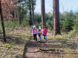 v lese bylo nádherně