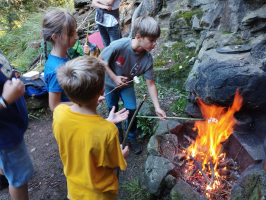 d26df40b-img-20240925-110242.jpeg
