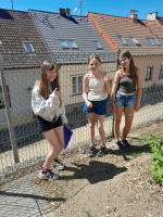 d4f32bdb-whatsapp-image-2026-05-29-at-14.04.45-1.jpeg