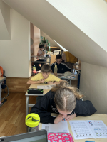 d9cb916d-img-1244.jpeg