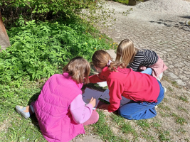 Kreslení v botanické zahradě