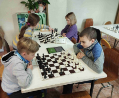 f26f073a-img-20240213-110238.jpeg