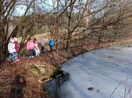 zkoumání malého rybníčka