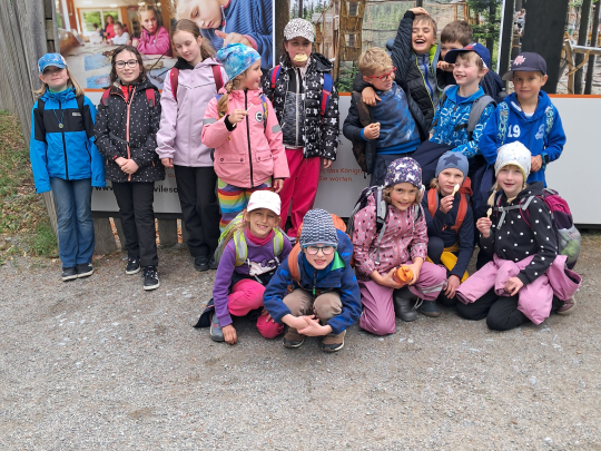 Šumava - Stezka korunami stromů a Království lesa